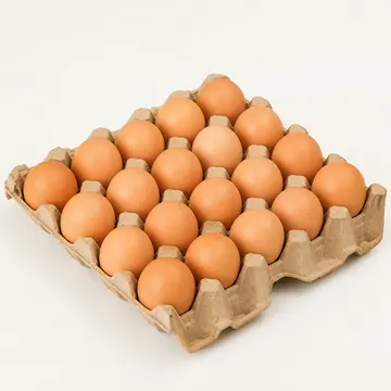 Tray of fresh brown eggs